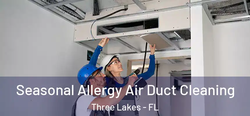 Seasonal Allergy Air Duct Cleaning Three Lakes - FL