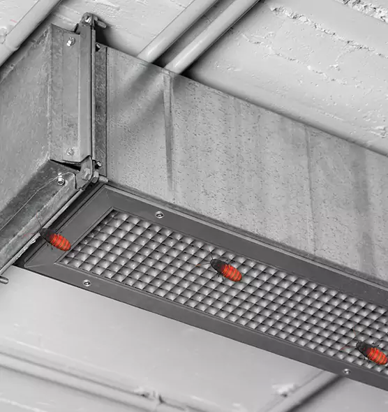 About Air Duct Cockroach Removal in Three Lakes, FL