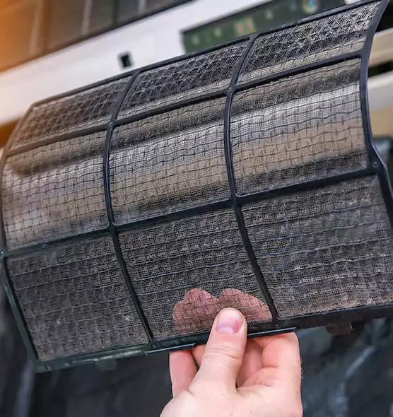 About Pet Dander Duct Cleaning in Three Lakes, FL