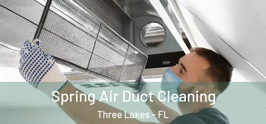 Spring Air Duct Cleaning Three Lakes - FL