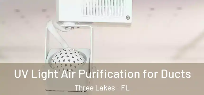 UV Light Air Purification for Ducts Three Lakes - FL