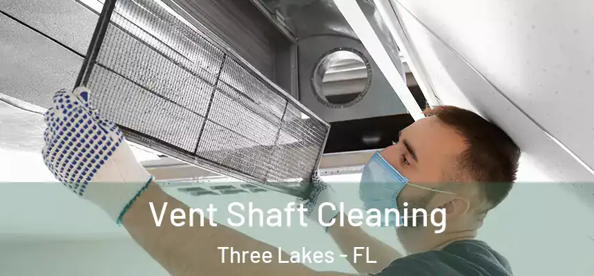 Vent Shaft Cleaning Three Lakes - FL