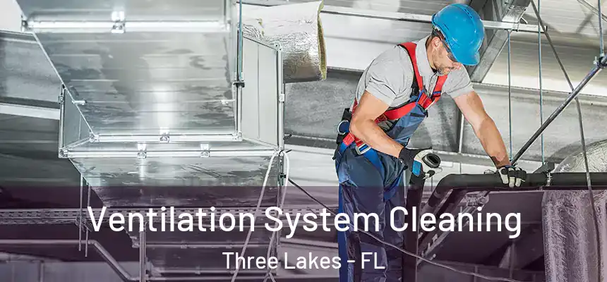 Ventilation System Cleaning Three Lakes - FL