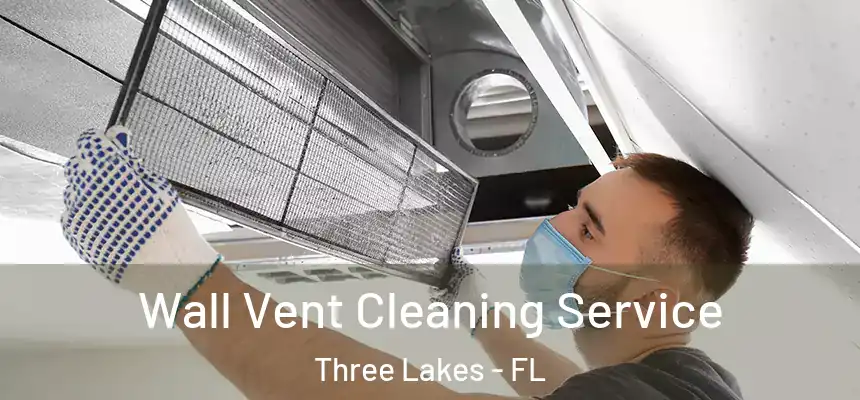 Wall Vent Cleaning Service Three Lakes - FL