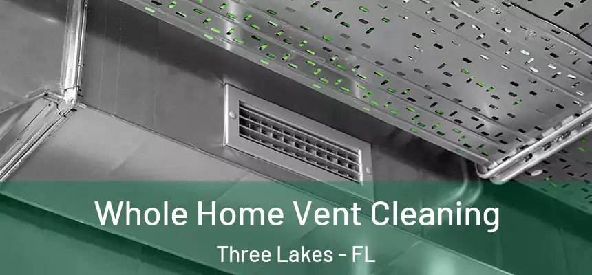 Whole Home Vent Cleaning Three Lakes - FL