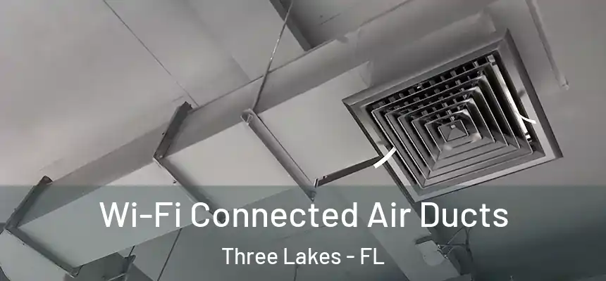 Wi-Fi Connected Air Ducts Three Lakes - FL